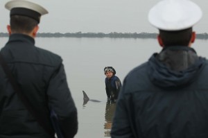 RAVENNA 19/01/2013. OPERAZIONI DI SALVATAGGIO DI UN DELFINO A LIDO DI DANTE